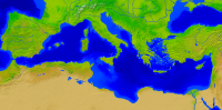 Mittelmeer Vegetation 2000x987